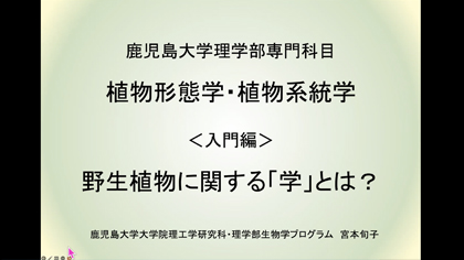 鹿児島大学法理学部 模擬授業 理学科 化学プログラム
