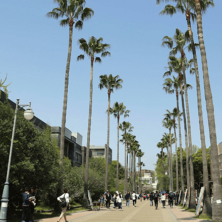 鹿児島大学イメージ