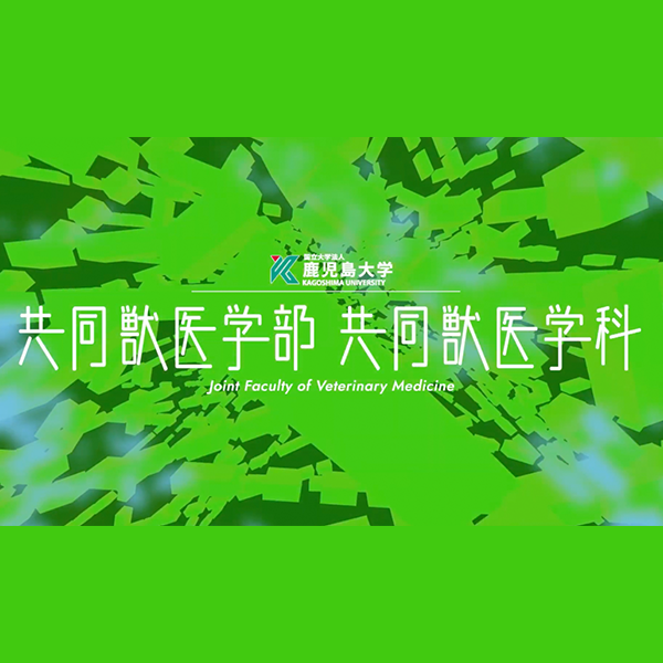 共同獣医学部 共同獣医学科