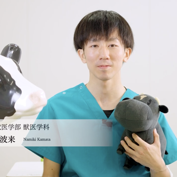 共同獣医学部 共同獣医学科　学生メッセージ