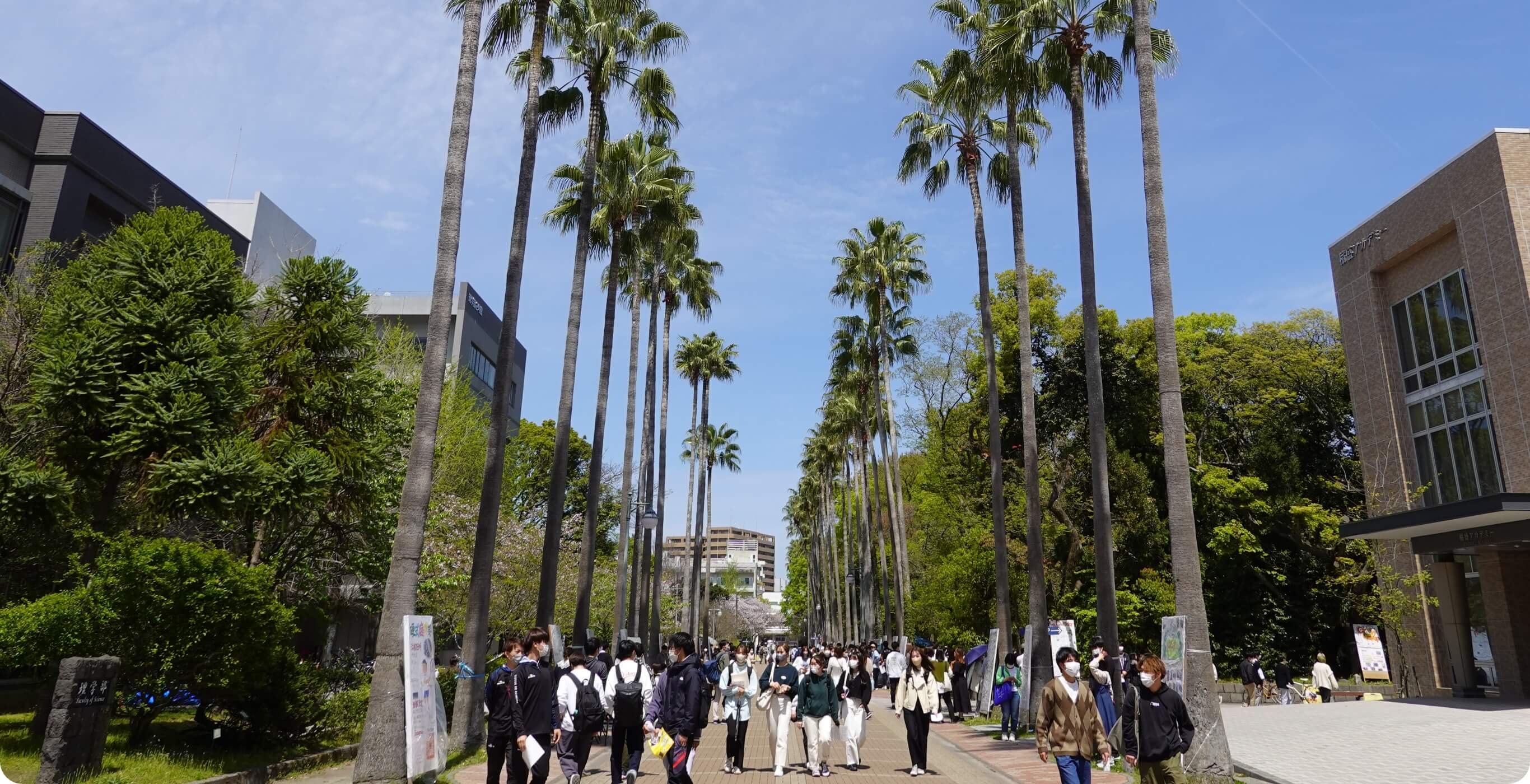 キービジュアル